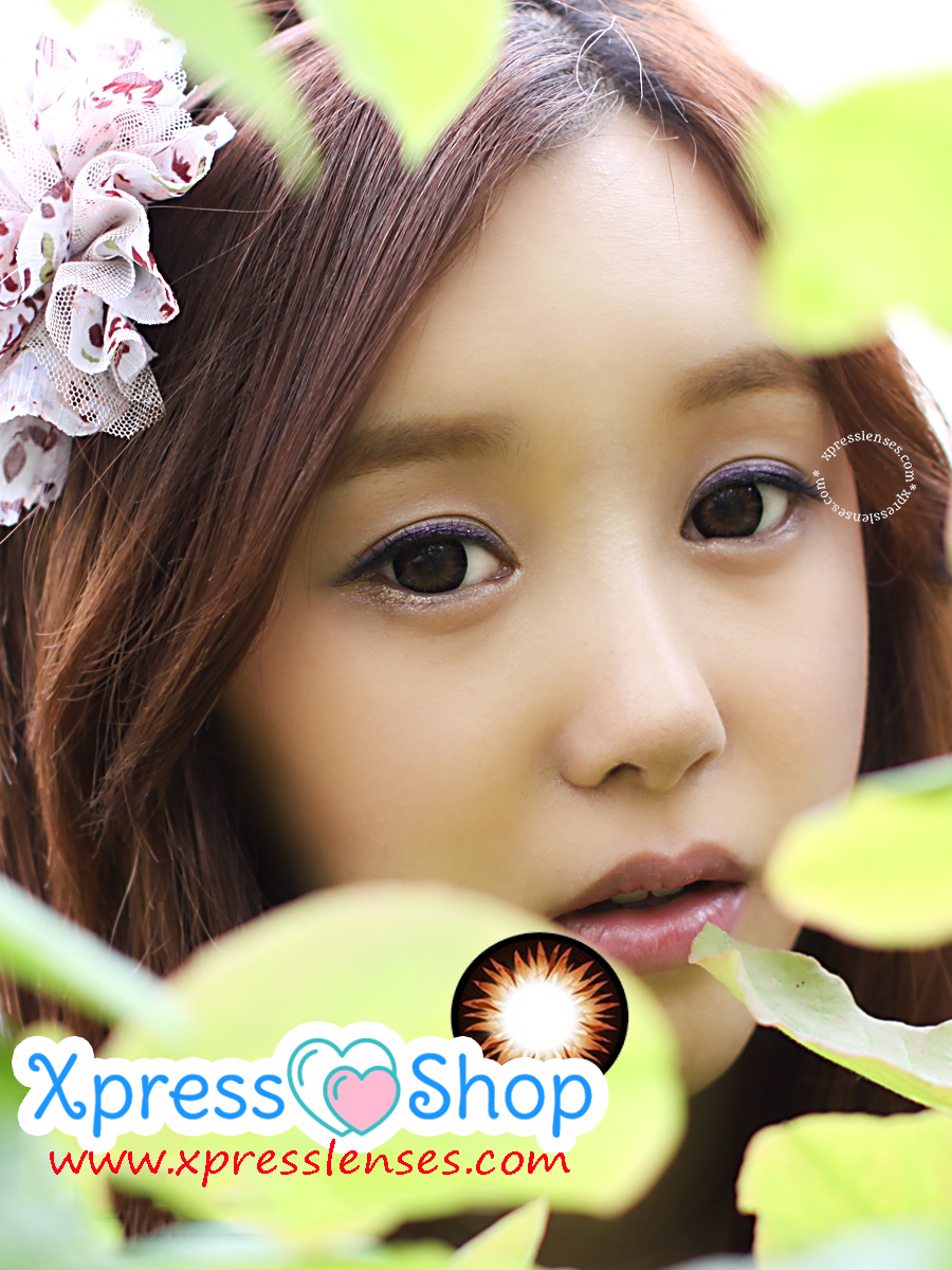 GEO Xtra Bella Brown Circle Lenses 