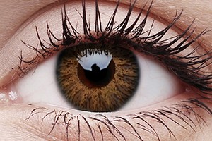 COLOURVUE® GLAMOUR HONEY COLOR LENSES